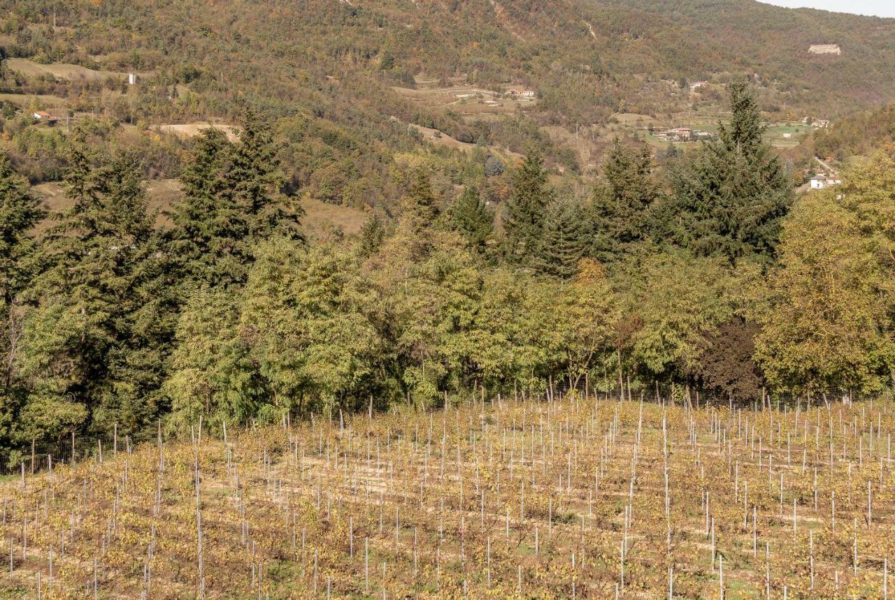 Tenuta Pian D'Attesio - Agriturismo Castelletto Soprano エクステリア 写真
