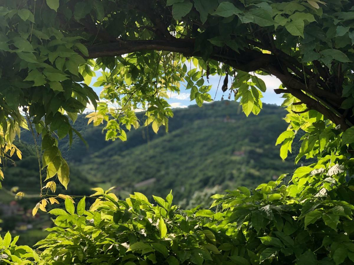 Tenuta Pian D'Attesio - Agriturismo Castelletto Soprano エクステリア 写真